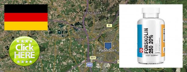 Hvor kan jeg købe Forskolin online Paderborn, Germany