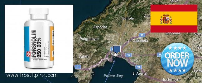 Where to Purchase Forskolin Extract online Palma, Spain