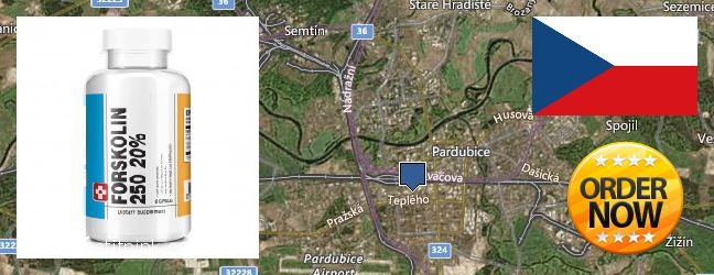 Kde koupit Forskolin on-line Pardubice, Czech Republic
