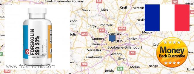 Purchase Forskolin Extract online Paris, France Where to Buy Forskolin Extract online Paris, France