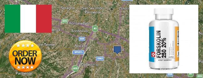 Dove acquistare Forskolin in linea Parma, Italy