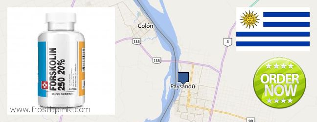 Dónde comprar Forskolin en linea Paysandu, Uruguay