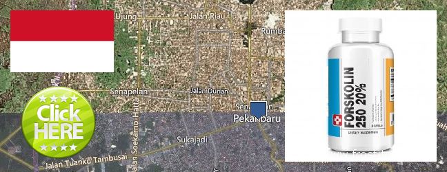 Purchase Forskolin Extract online Pekanbaru, Indonesia