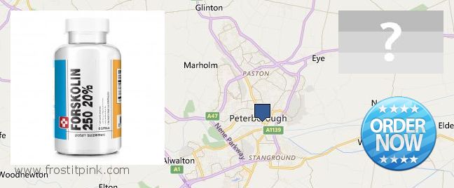 Dónde comprar Forskolin en linea Peterborough, UK