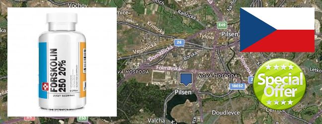 Wo kaufen Forskolin online Pilsen, Czech Republic