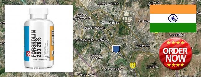 Purchase Forskolin Extract online Pimpri, India Where to Buy Forskolin Extract online Pimpri, India