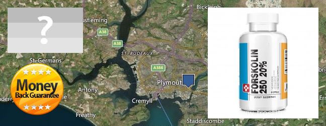 Purchase Forskolin Extract online Plymouth, UK