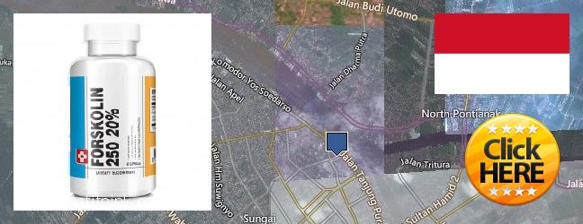 Where Can I Buy Forskolin Extract online Pontianak, Indonesia