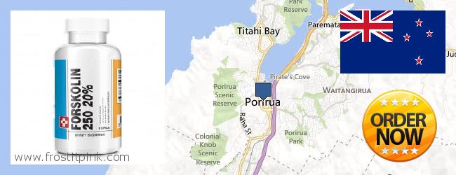 Where to Purchase Forskolin Extract online Porirua, New Zealand