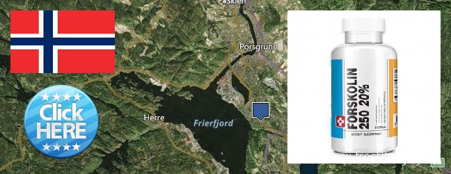 Where to Buy Forskolin Extract online Porsgrunn, Norway