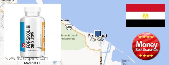 Buy Forskolin Extract online Port Said, Egypt Where Can I Purchase Forskolin Extract online Port Said, Egypt