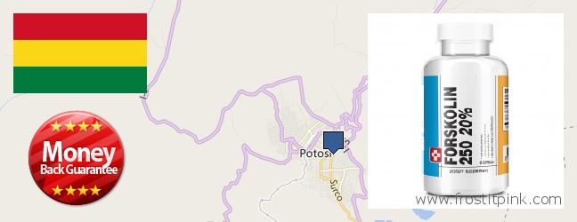 Dónde comprar Forskolin en linea Potosi, Bolivia