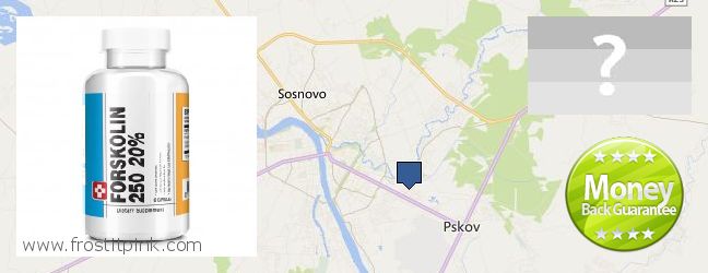 Где купить Forskolin онлайн Pskov, Russia