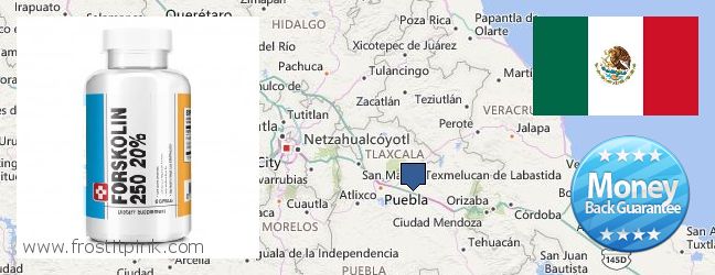 Dónde comprar Forskolin en linea Puebla, Mexico