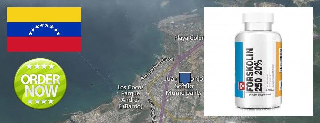 Where to Purchase Forskolin Extract online Puerto La Cruz, Venezuela