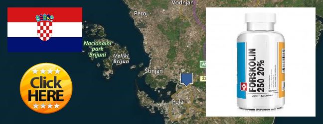 Dove acquistare Forskolin in linea Pula, Croatia
