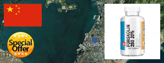 Purchase Forskolin Extract online Qingdao, China Where to Buy Forskolin Extract online Qingdao, China