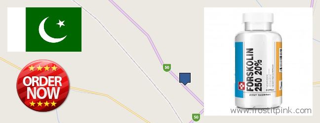 Buy Forskolin Extract online Quetta, Pakistan Best Place to Buy Forskolin Extract online Quetta, Pakistan