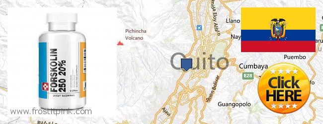 Dónde comprar Forskolin en linea Quito, Ecuador