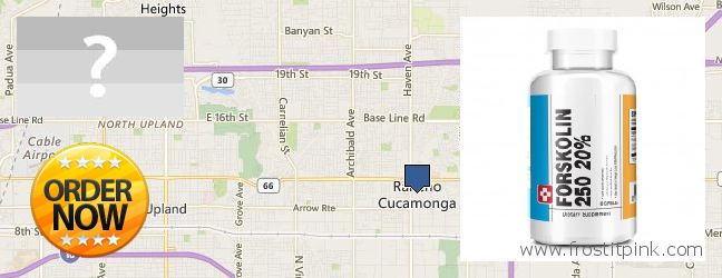 Wo kaufen Forskolin online Rancho Cucamonga, USA