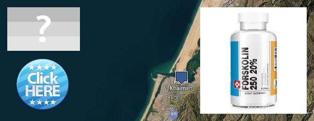 Where to Purchase Forskolin Extract online Ras al-Khaimah, UAE