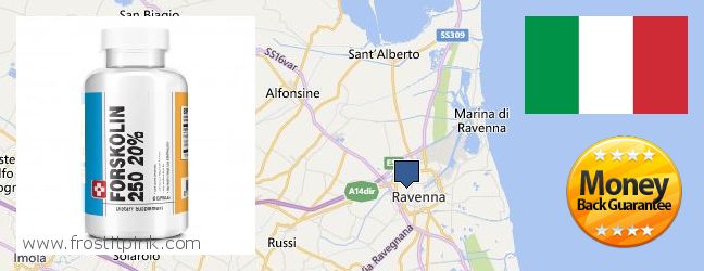 Dove acquistare Forskolin in linea Ravenna, Italy