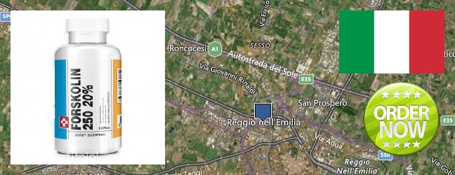 Dove acquistare Forskolin in linea Reggio nell'Emilia, Italy