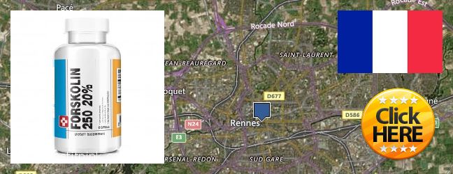 Where to Buy Forskolin Extract online Rennes, France