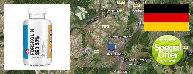 Hvor kan jeg købe Forskolin online Reutlingen, Germany