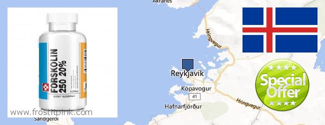 Where to Buy Forskolin Extract online Reykjavik, Iceland