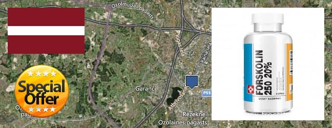 Buy Forskolin Extract online Rezekne, Latvia Where Can You Buy Forskolin Extract online Rezekne, Latvia