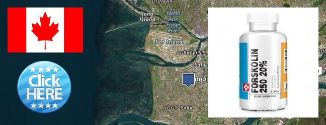 Where to Purchase Forskolin Extract online Richmond, Canada