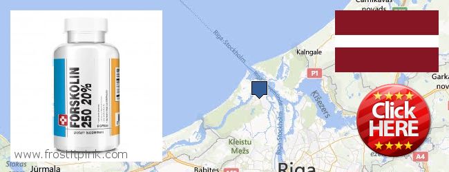 Purchase Forskolin Extract online Riga, Latvia
