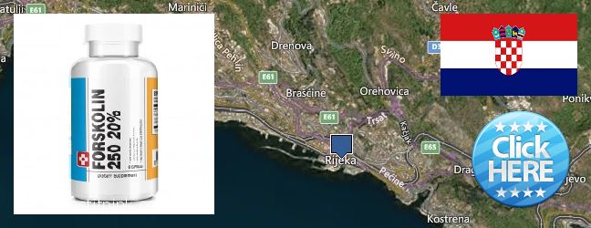Hol lehet megvásárolni Forskolin online Rijeka, Croatia