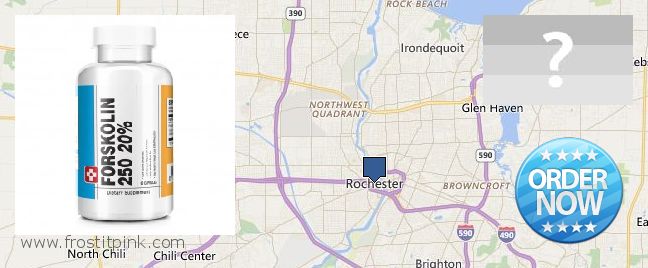 Къде да закупим Forskolin онлайн Rochester, USA