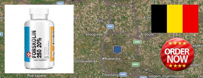 Où Acheter Forskolin en ligne Roeselare, Belgium
