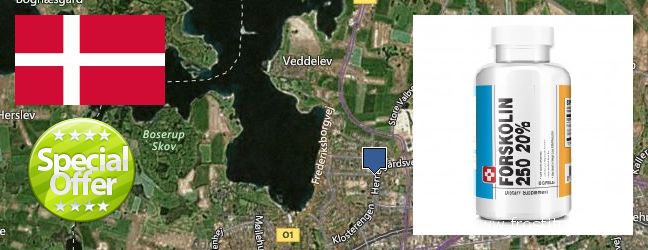 Where to Purchase Forskolin Extract online Roskilde, Denmark