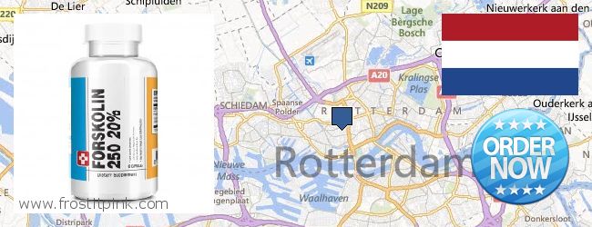 Waar te koop Forskolin online Rotterdam, Netherlands