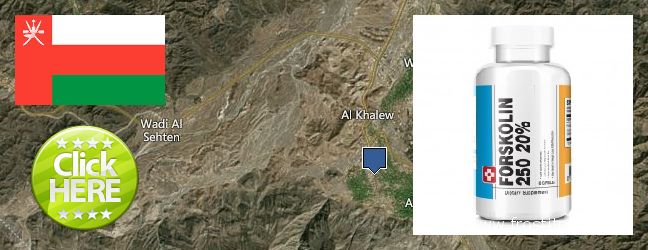 Where to Purchase Forskolin Extract online Rustaq, Oman