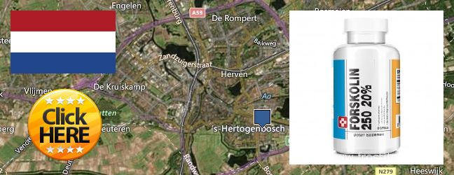 Where to Purchase Forskolin Extract online s-Hertogenbosch, Netherlands