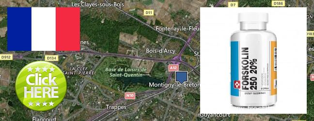 Où Acheter Forskolin en ligne Saint-Quentin-en-Yvelines, France