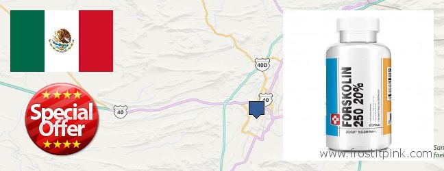 Dónde comprar Forskolin en linea Saltillo, Mexico
