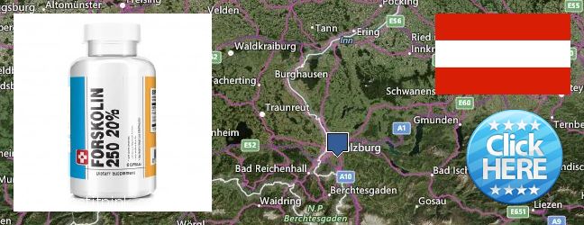 Wo kaufen Forskolin online Salzburg, Austria