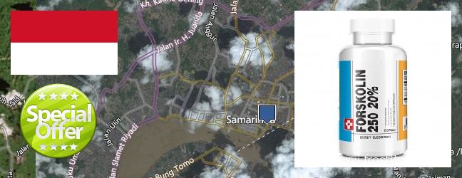 Where Can I Buy Forskolin Extract online Samarinda, Indonesia