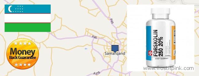 Purchase Forskolin Extract online Samarqand, Uzbekistan Buy Forskolin Extract online Samarqand, Uzbekistan