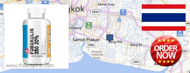 Buy Forskolin Extract online Samut Prakan, Thailand
