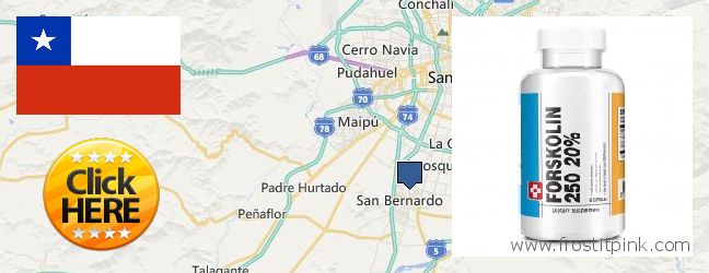 Where to Buy Forskolin Extract online San Bernardo, Chile