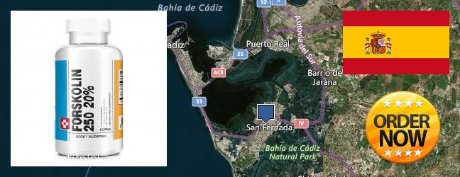 Dónde comprar Forskolin en linea San Fernando, Spain