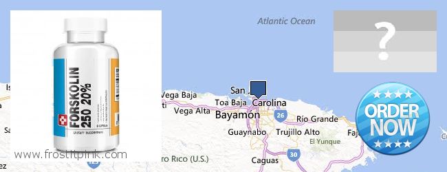 Where Can I Buy Forskolin Extract online San Juan, Puerto Rico