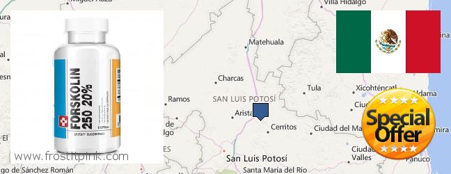 Where to Buy Forskolin Extract online San Luis Potosi, Mexico